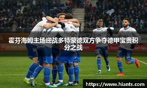 霍芬海姆主场迎战多特蒙德双方争夺德甲宝贵积分之战